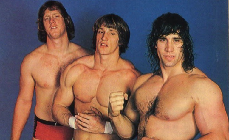 von erich family