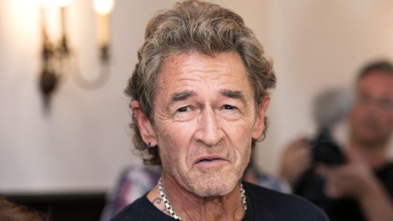 Peter Maffay Vermögen – Das beeindruckende Leben und Einkommen des Rockmusikers peter maffay vermögen